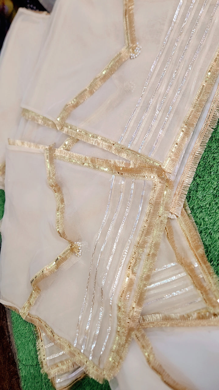 Organza Dress Packing Bag - Flip Style