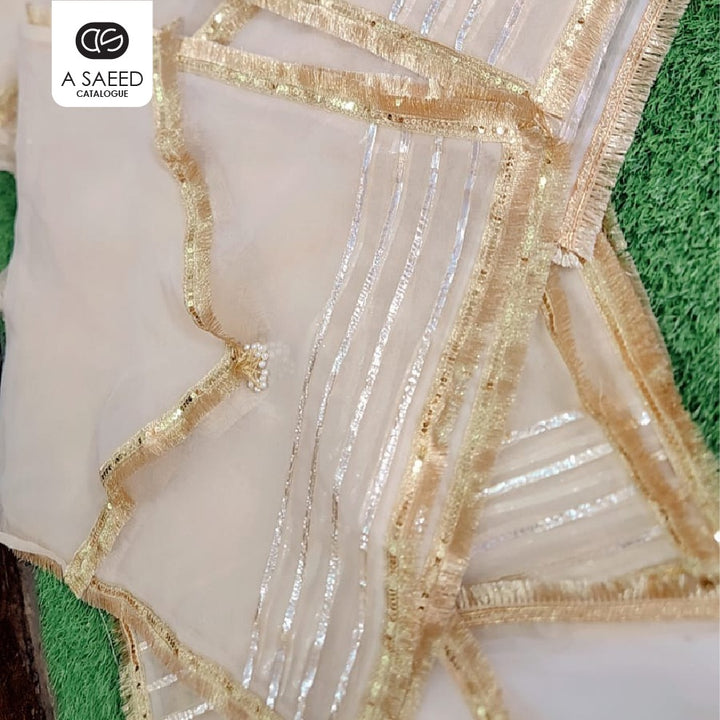 Organza Dress Packing Bag - Flip Style