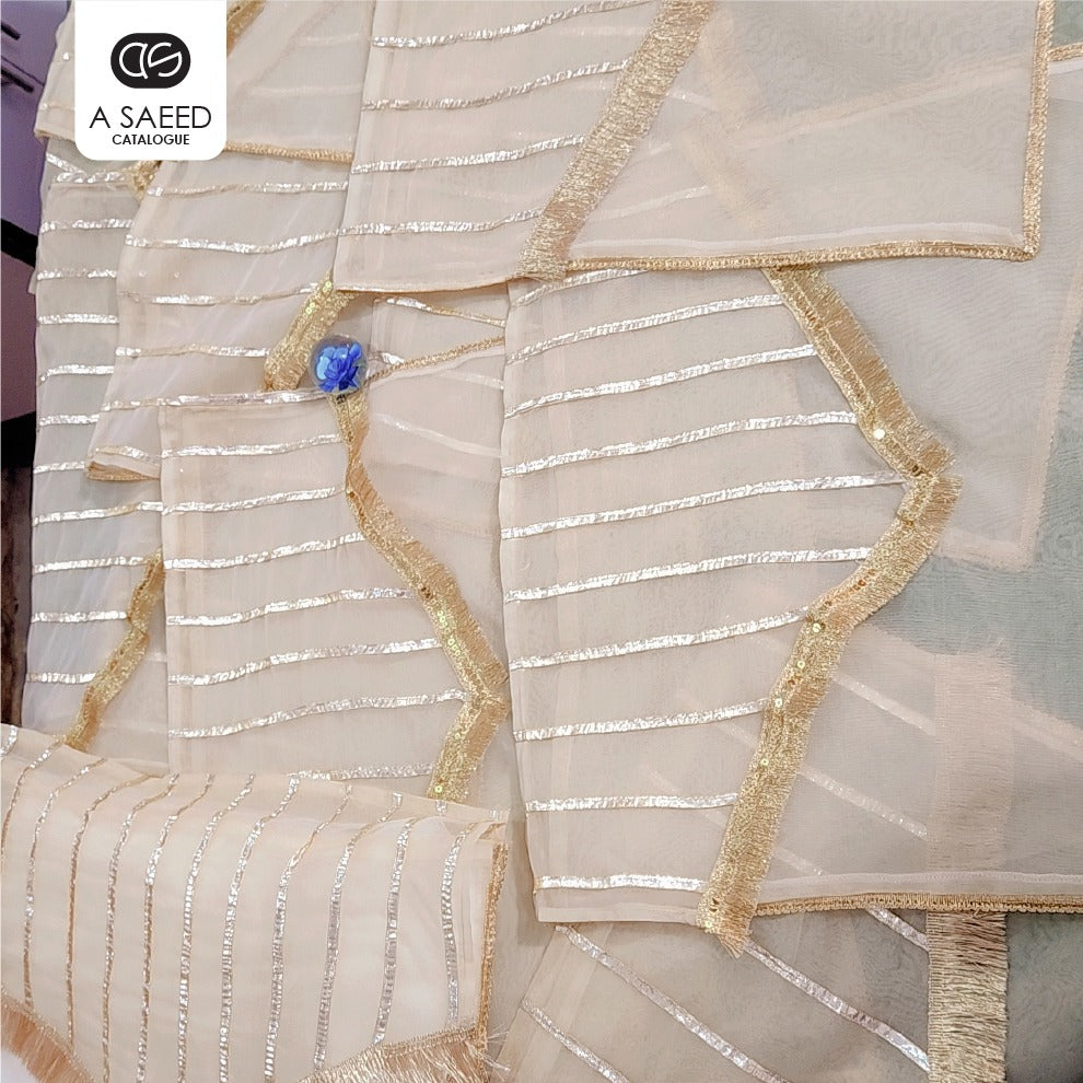 Organza Dress Packing Bag - Flip Style