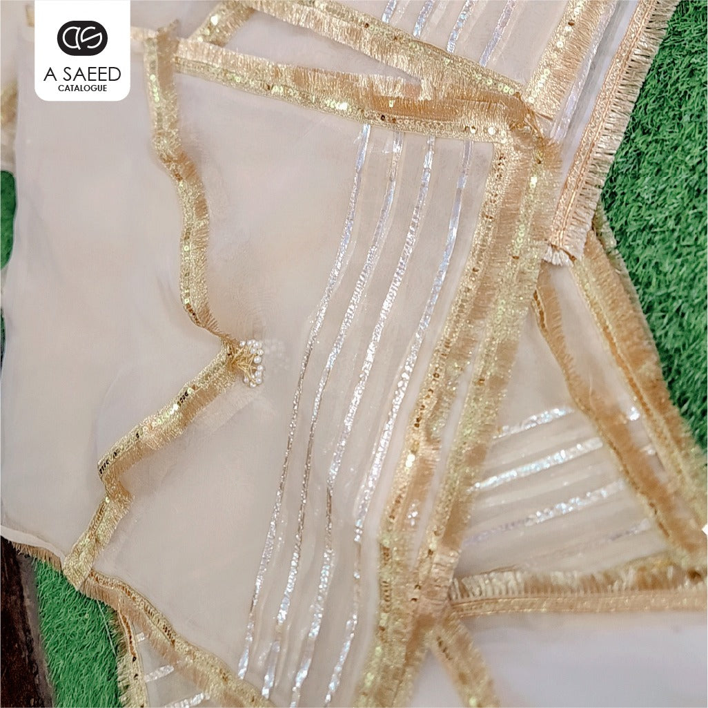 Organza Dress Packing Bag - Flip Style