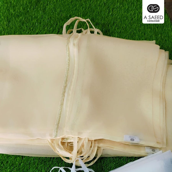 Maxi Packing Bag - Silver/Golden